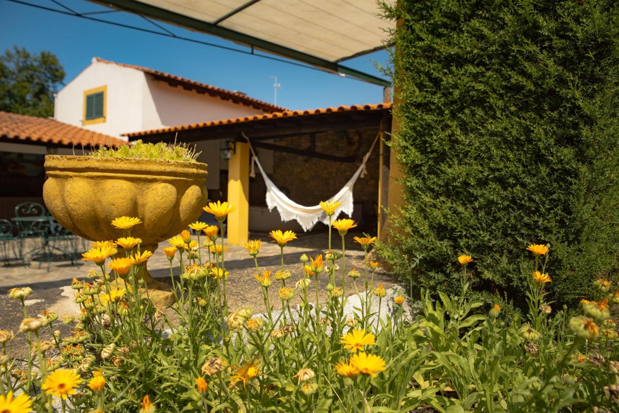 Villa A Sobreirinha Jacuzzi E Pet Friendly Sobreira Formosa Exterior foto